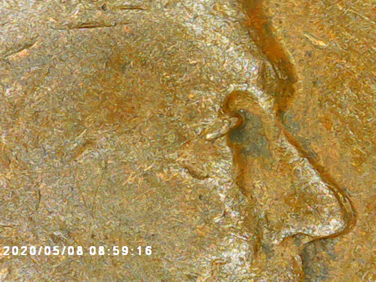 1936-Wheat-Penny-What-Thats-Up-With-The-R-Missing-Some-Of-It-And-Is-This-Si
